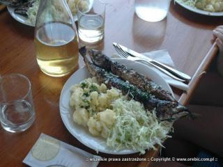 Fish Picnic