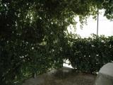 Sobe 2